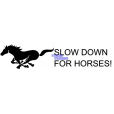 Slow Down for Horses
